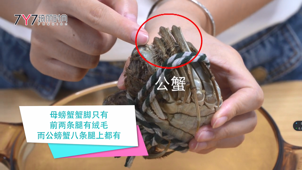 螃蟹公母怎么分 _螃蟹公母怎么分类-第1张图片-潮百科